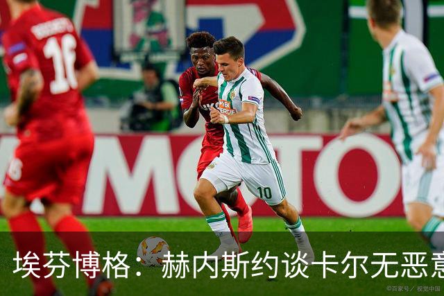 埃芬博格：赫内斯约谈卡尔无恶意，年轻人要听进去