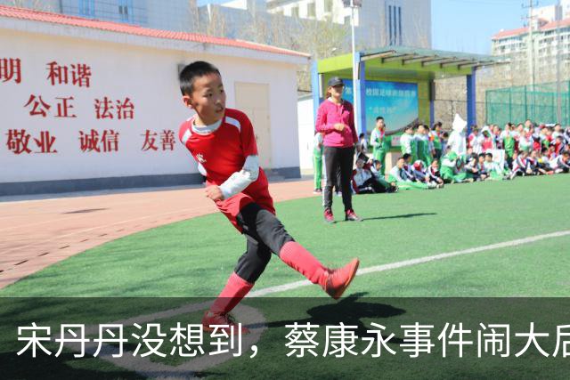 宋丹丹没想到，蔡康永事件闹大后，她却凭一句大实话，口碑暴涨