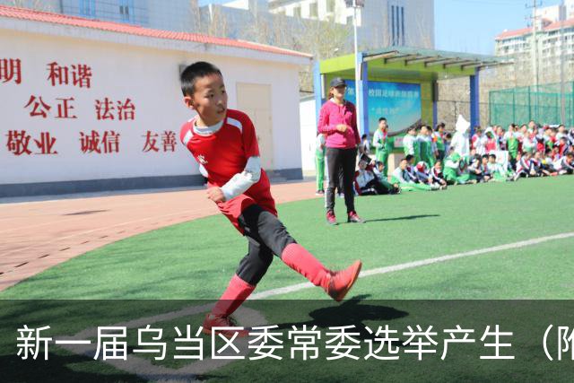 新一届乌当区委常委选举产生（附简历）→