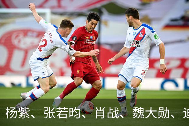 杨紫、张若昀、肖战、魏大勋、迪丽热巴、陈都灵、胡先煦、赛那