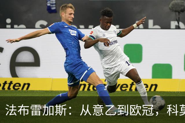 法布雷加斯：从意乙到欧冠，科莫要踢曼联了