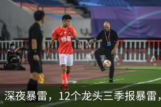 深夜暴雷，12个龙头三季报暴雷，龙头暴降738%，只有8个加速增长