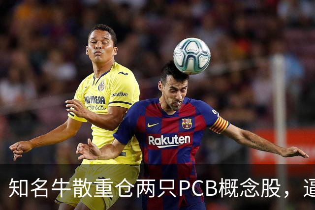 知名牛散重仓两只PCB概念股，逼近举牌线